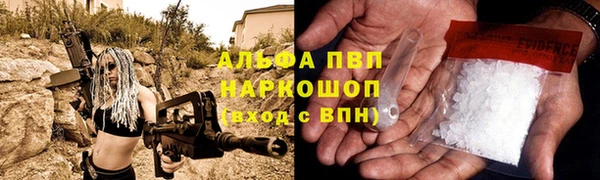 амф Зеленокумск